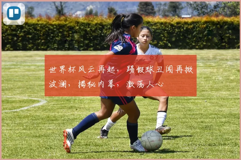 世界杯风云再起，踢假球丑闻再掀波澜，揭秘内幕，激荡人心