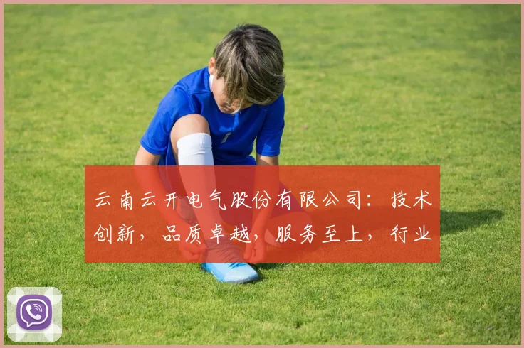 云南云开电气股份有限公司：技术创新，品质卓越，服务至上，行业领先，助力发展三步走