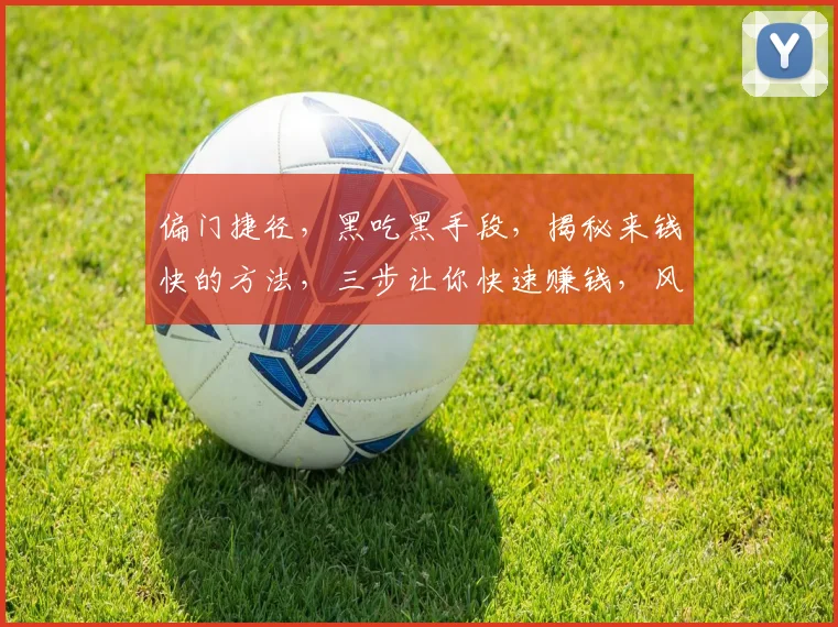 偏门捷径，黑吃黑手段，揭秘来钱快的方法，三步让你快速赚钱，风险自担