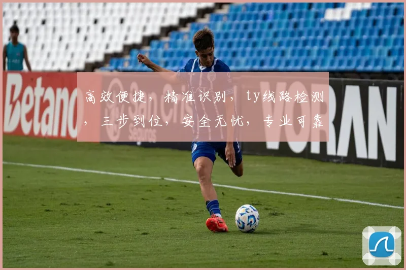 高效便捷，精准识别，ty线路检测，三步到位，安全无忧，专业可靠，三重保障